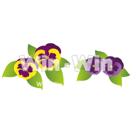 パンジーのCG・イラスト素材 W-017474