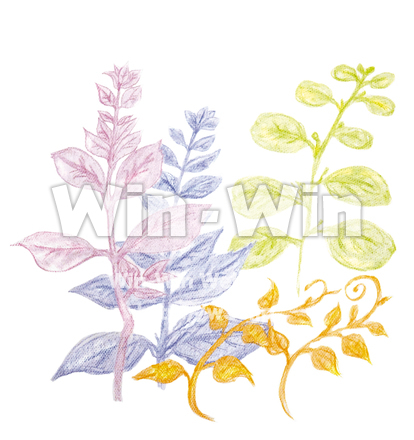 花と葉のイラストの写真素材 W-016265