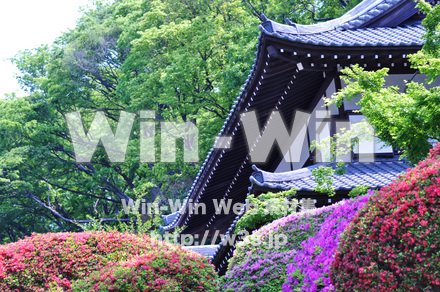 等覚院の写真素材 W-016685