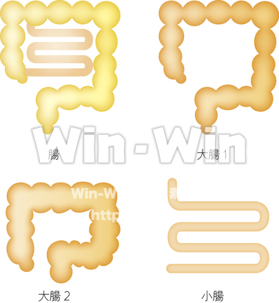 腸のCG・イラスト素材 W-016398