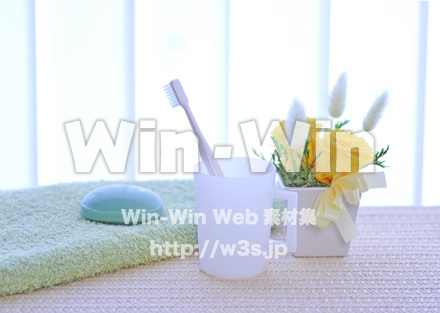 歯磨きの写真素材 W-016835