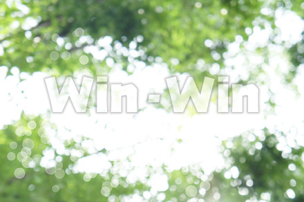 木漏れ日の写真素材 W-016794