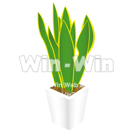 サンスベリアのCG・イラスト素材 W-016221