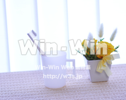 歯磨きの写真素材 W-016842