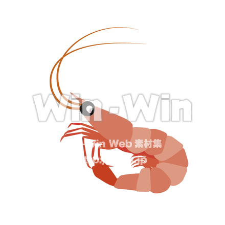 甘エビのCG・イラスト素材 W-016004
