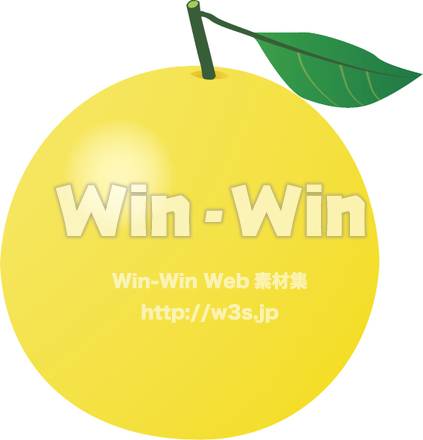 ザボンのCG・イラスト素材 W-016636