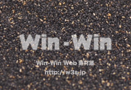 黒ごまの写真素材 W-017561