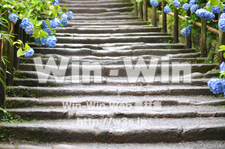 明月院の写真素材 W-017403