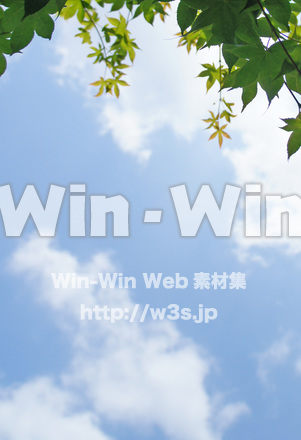 空と緑の写真素材 W-017454