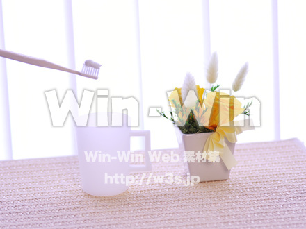 歯磨きの写真素材 W-016841