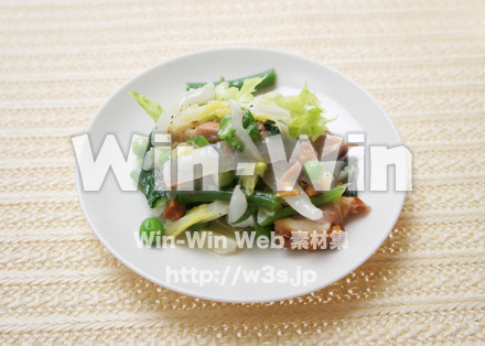 サラダの写真素材 W-016738