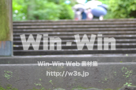 雨の写真素材 W-017409