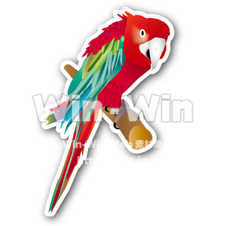 オウムのCG・イラスト素材 W-016336