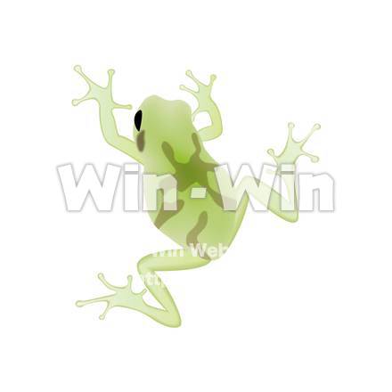 カエルのCG・イラスト素材 W-017809