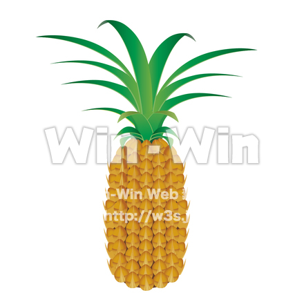 パイナップルのCG・イラスト素材 W-016660