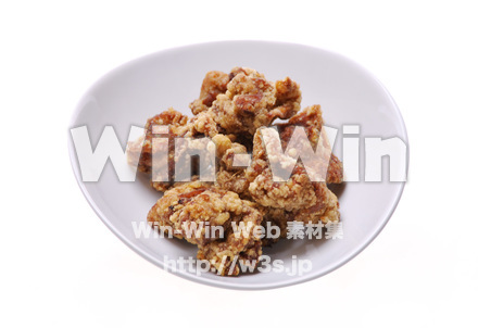 唐揚げの写真素材 W-016058