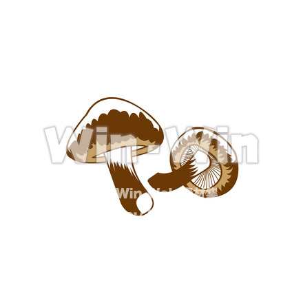 きのこ（カラー）のCG・イラスト素材 W-016180