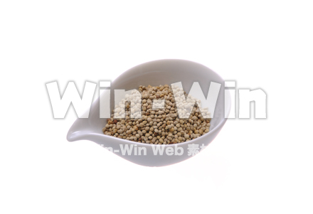 えごまの実の写真素材 W-016294