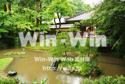 明月院　奥庭からの写真素材 W-017412