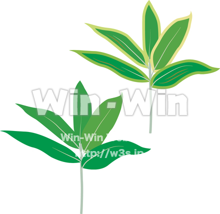 クマザサのCG・イラスト素材 W-016007