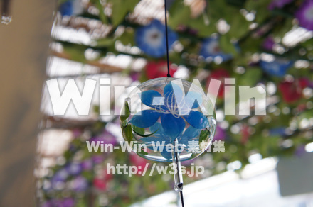 川崎大師-風鈴市の写真素材 W-017658