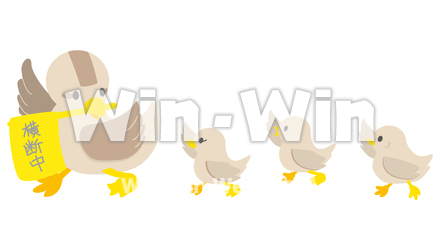 カモの親子横断中のCG・イラスト素材 W-016893