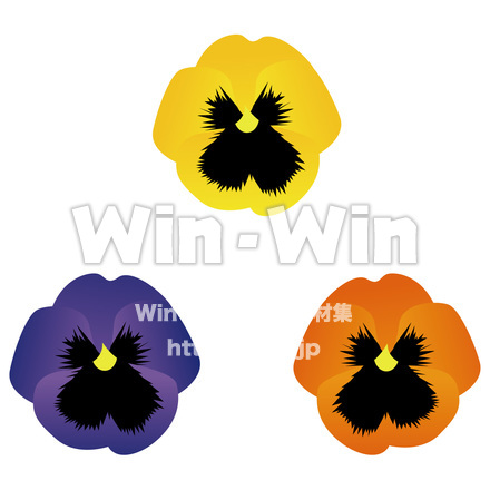 パンジーのCG・イラスト素材 W-017034