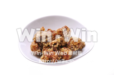 唐揚げの写真素材 W-016059