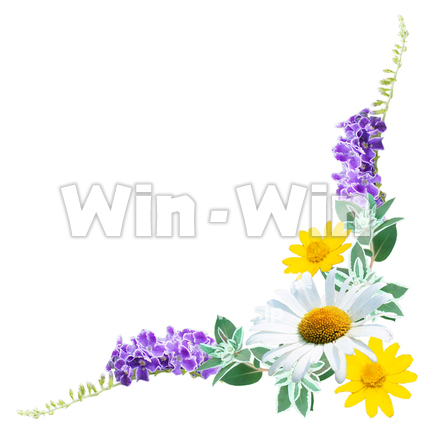 フレーム用　花の写真素材 W-016285