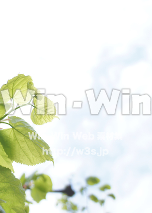 緑と曇り空の写真素材 W-016674