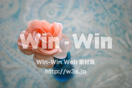 バラの写真素材 W-017960