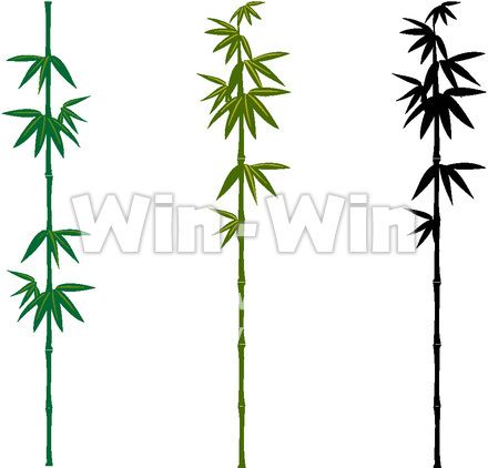 竹　ブラシ素材のCG・イラスト素材 W-017281