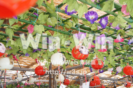 川崎大師-風鈴市の写真素材 W-017657