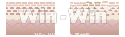 正常な肌と荒れた肌.のCG・イラスト素材 W-016394