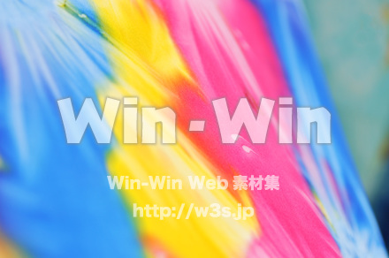 染色の写真素材 W-017236