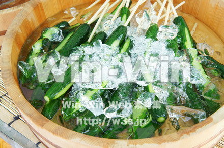 キュウリの写真素材 W-017648