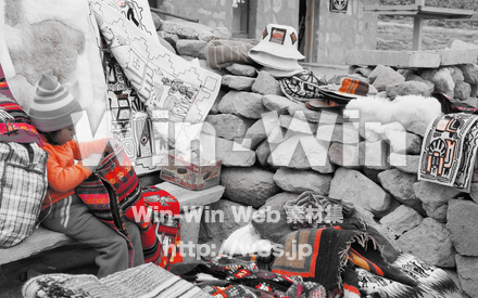 チリ_ラウカ高山でお土産を売る少女の写真素材 W-016277