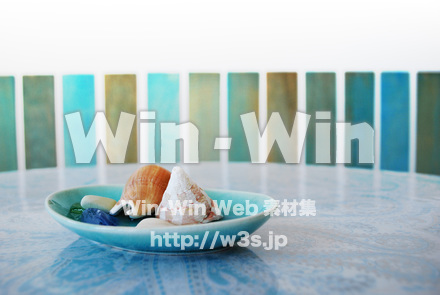 貝殻の写真素材 W-017964