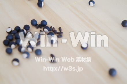 花の種の写真素材 W-018031