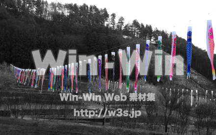 壁紙_鯉のぼりの写真素材 W-018479