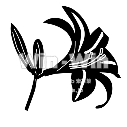 ニッコウキスゲのシルエット素材 W-018593