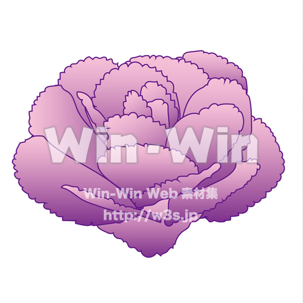 葉牡丹のCG・イラスト素材 W-019846