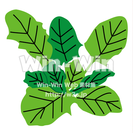 ほうれん草のCG・イラスト素材 W-019843