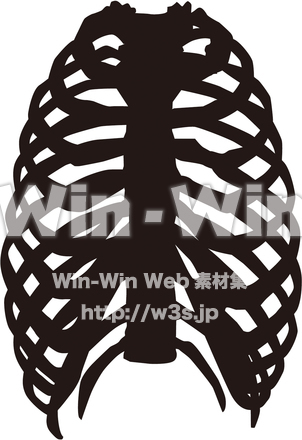 肋骨のシルエット素材 W-018957