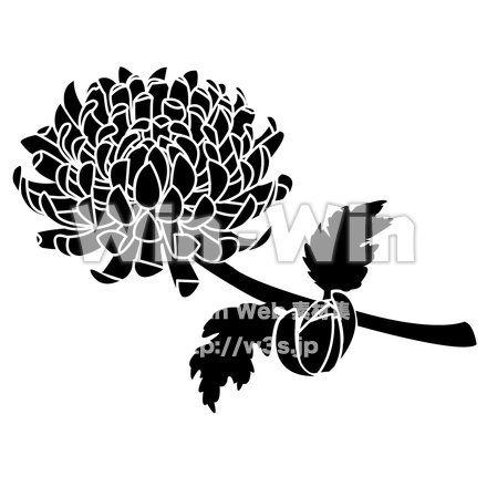 菊のシルエット素材 W-019872