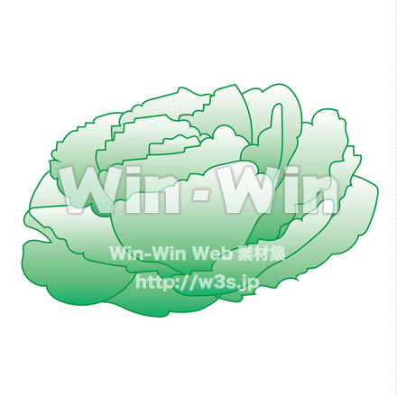 葉牡丹のCG・イラスト素材 W-019847