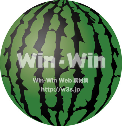 スイカのCG・イラスト素材 W-019923