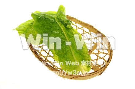 チマ・サンチュの写真素材 W-018097