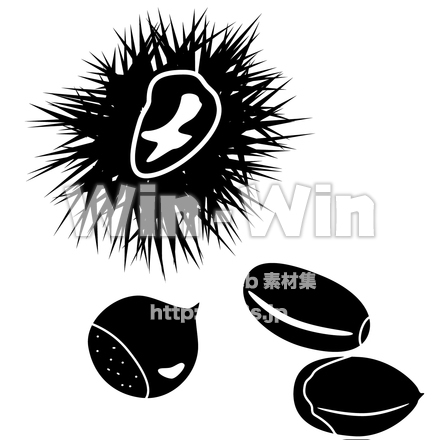 栗とどんぐりのシルエット素材 W-018597