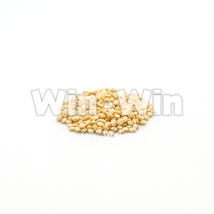 キヌアの写真素材 W-018856